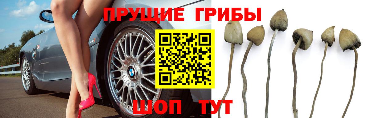 Галлюциногенные грибы мухоморы  Вход с VPN  Балахна 